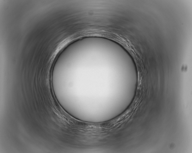 X0000096490099200801241220