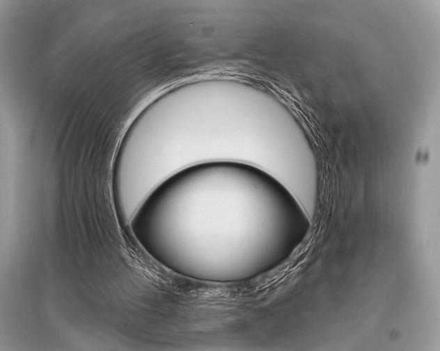 X0000096490100200801241220
