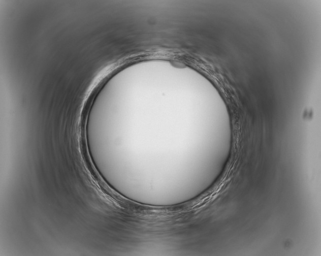X0000096490102200801241220