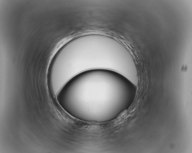X0000096490104200801241220