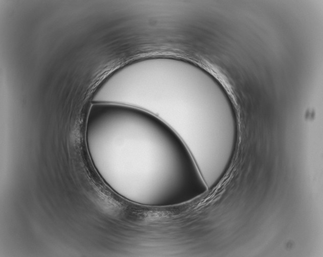 X0000096490105200801241220