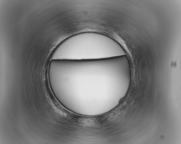 X0000096490106200801241220