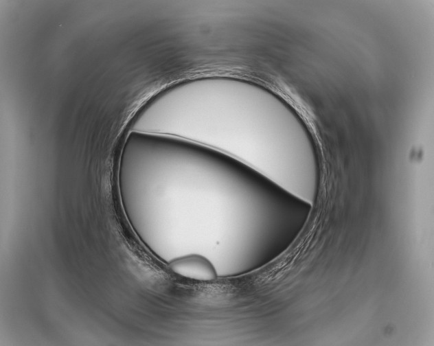 X0000096490107200801241220