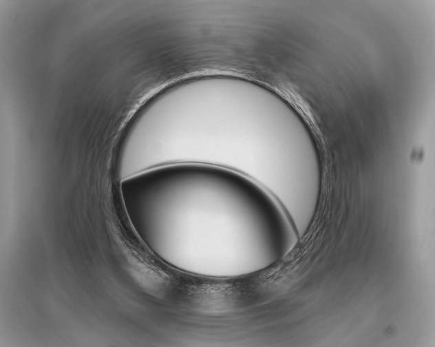 X0000096490108200801241220