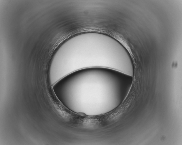 X0000096490109200801241220