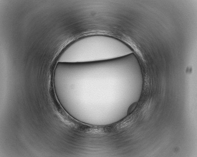 X0000096490110200801241220