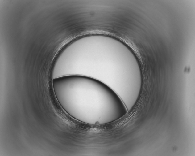 X0000096490111200801241220