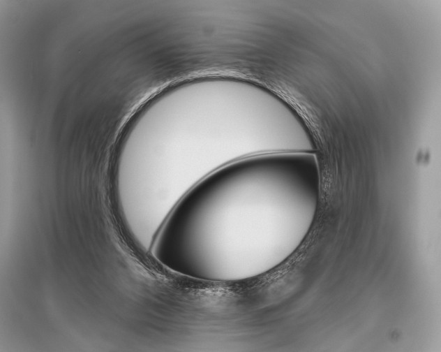 X0000096490112200801241220