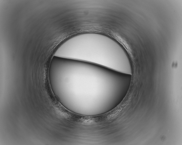 X0000096490113200801241220