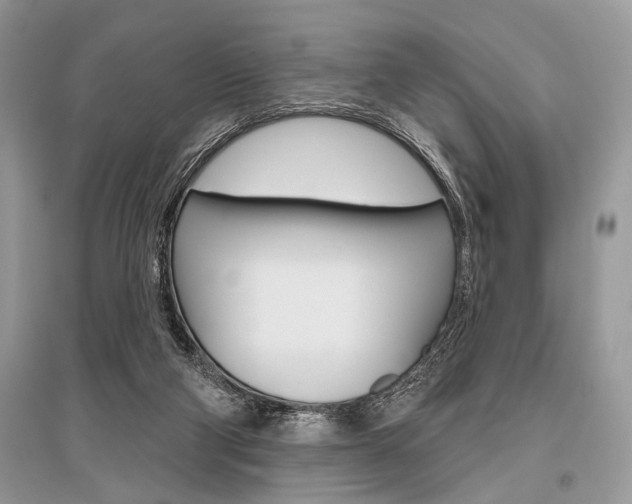 X0000096490114200801241220