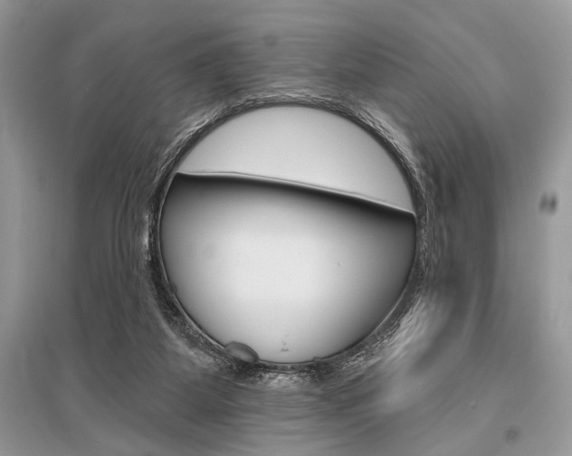 X0000096490115200801241219