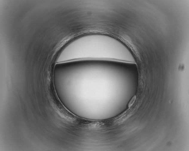 X0000096490116200801241219