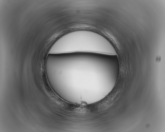 X0000096490119200801241219