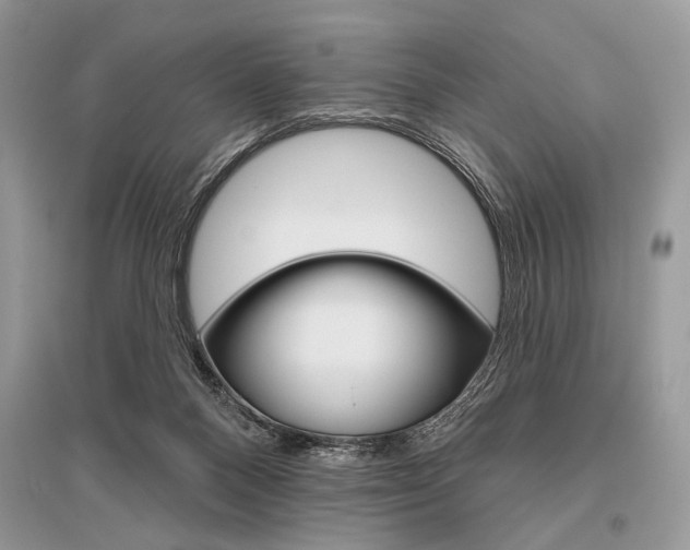 X0000096490120200801241219