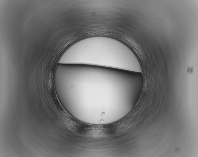 X0000096490121200801241219