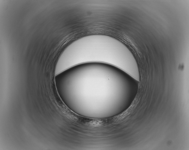 X0000096490124200801241219