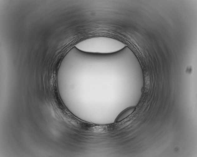 X0000096490126200801241219