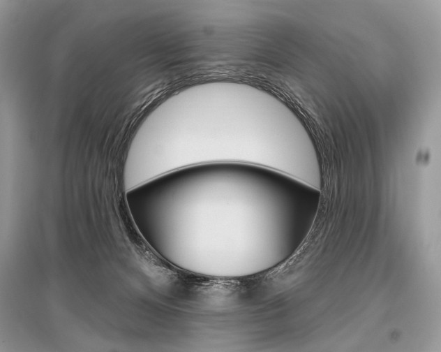 X0000096490128200801241219