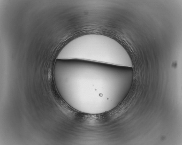 X0000096490131200801241219