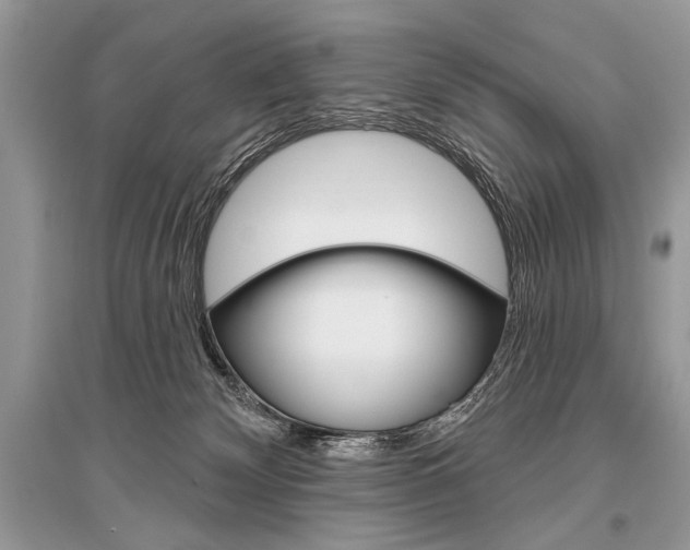 X0000096490132200801241219
