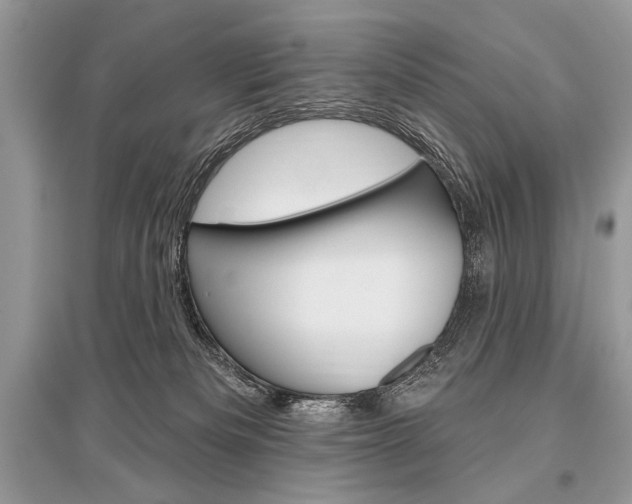 X0000096490133200801241219