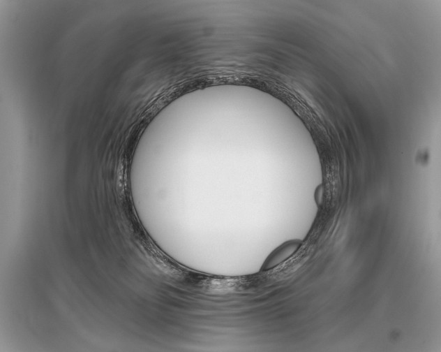 X0000096490134200801241219