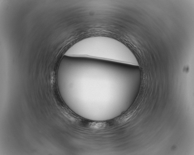 X0000096490135200801241219