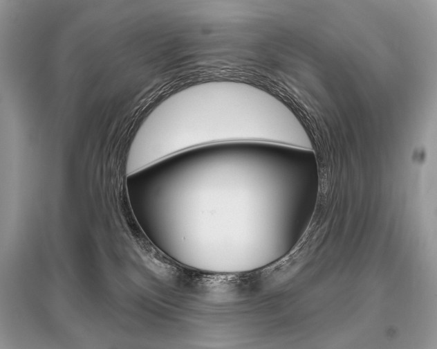 X0000096490136200801241219