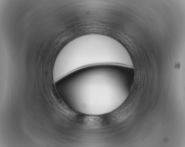 X0000096490137200801241219