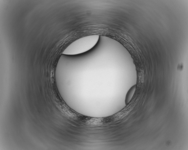 X0000096490138200801241219
