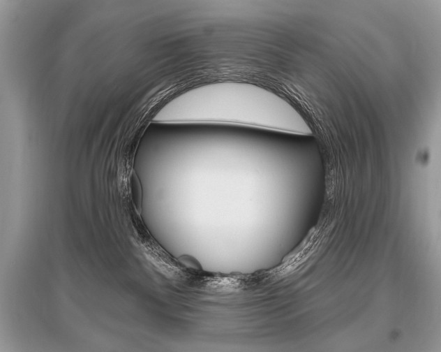 X0000096490140200801241219