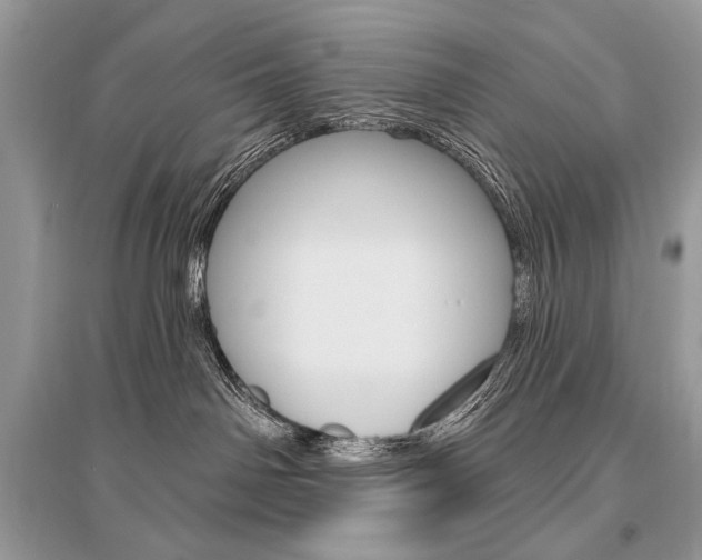 X0000096490142200801241219