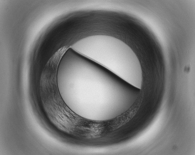 X0000096490143200801241219