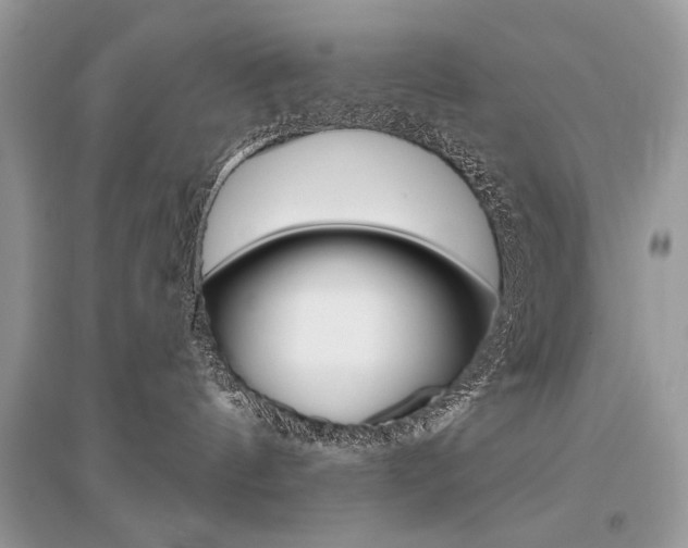 X0000096490144200801241219