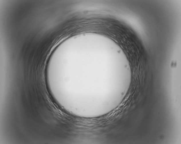 X0000096490146200801241218