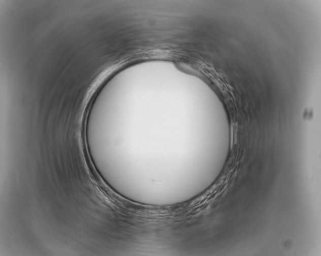 X0000096490147200801241218