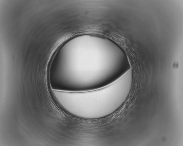 X0000096490148200801241218