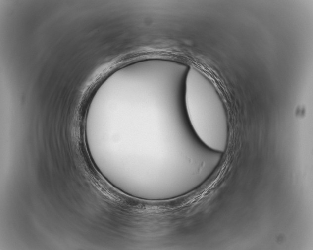 X0000096490149200801241218