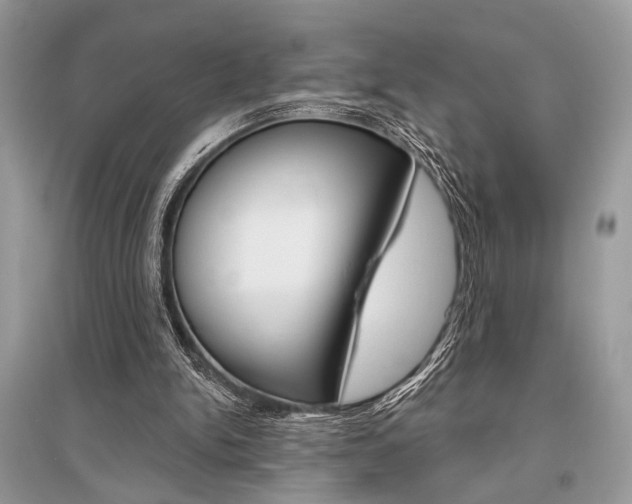 X0000096490150200801241219