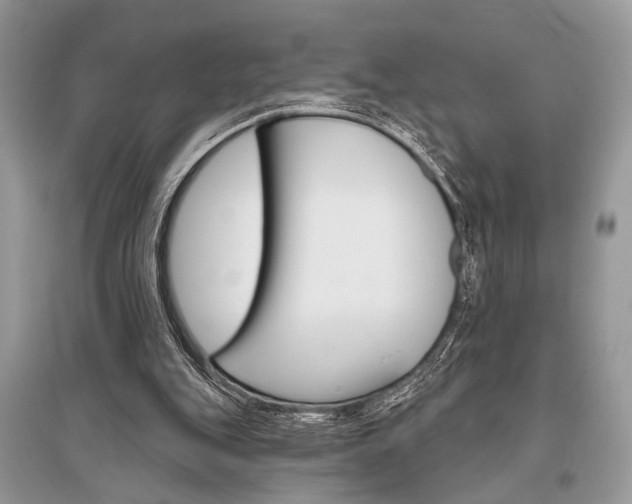 X0000096490151200801241219