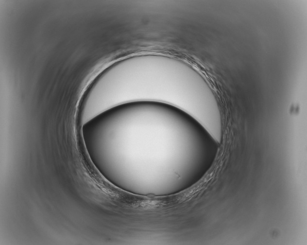 X0000096490152200801241219