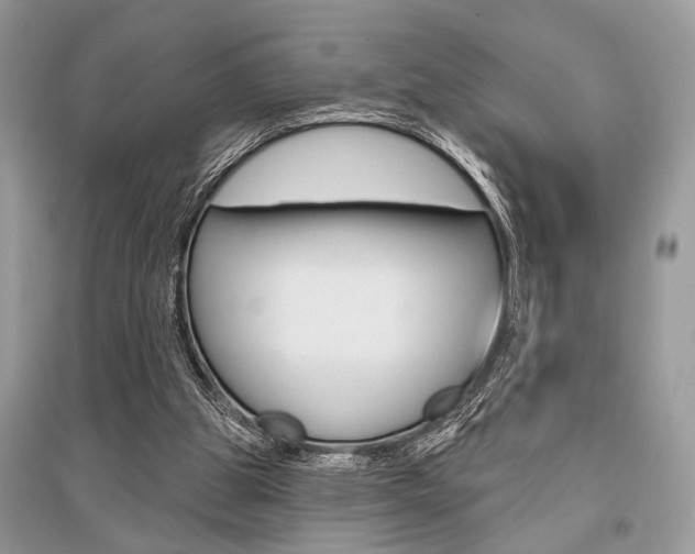 X0000096490153200801241219