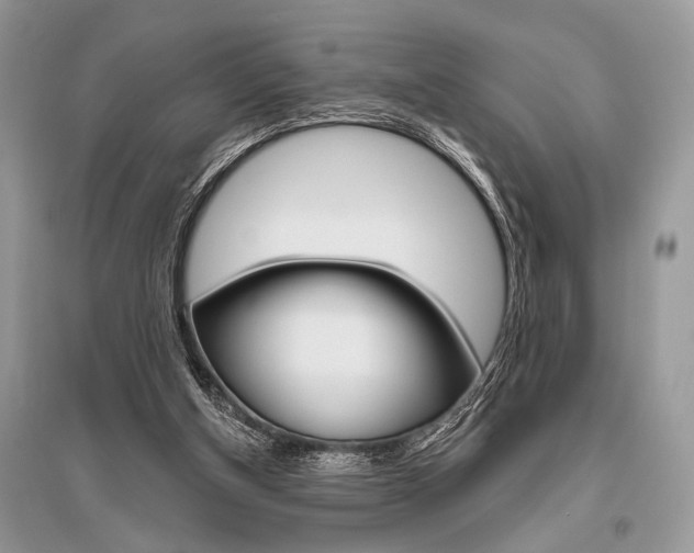 X0000096490154200801241219
