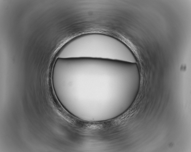 X0000096490155200801241219
