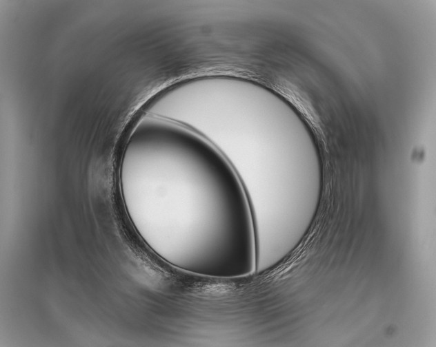 X0000096490156200801241219