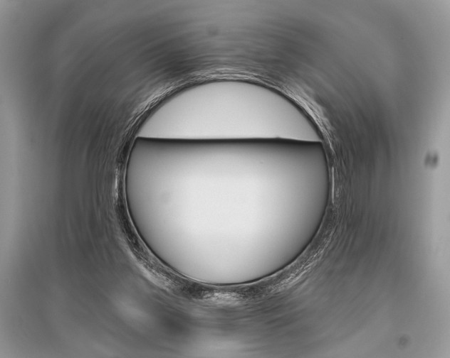 X0000096490157200801241219