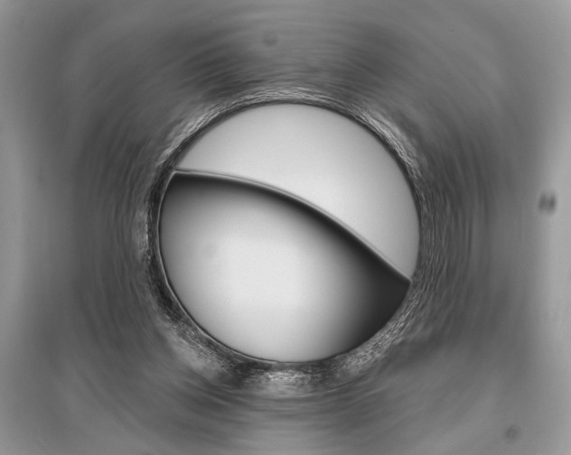 X0000096490158200801241219