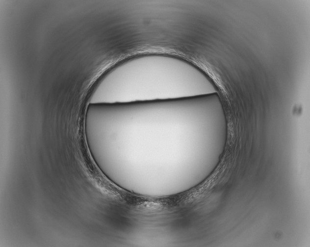 X0000096490159200801241219