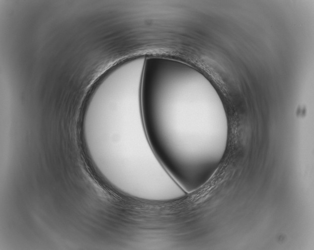 X0000096490160200801241219