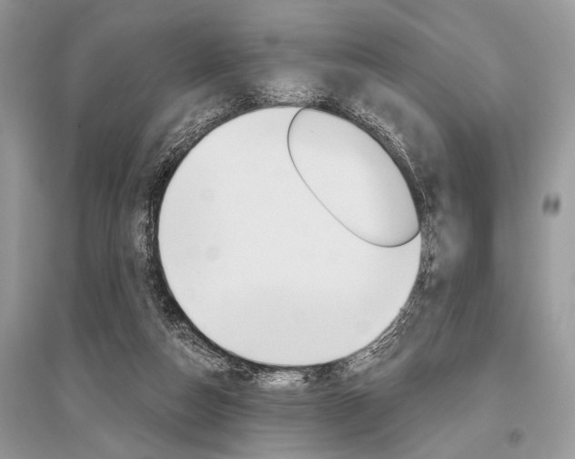 X0000096490162200801241219
